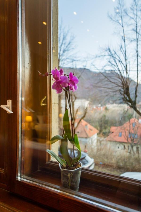 Central Park Residence Brasov Bagian luar foto